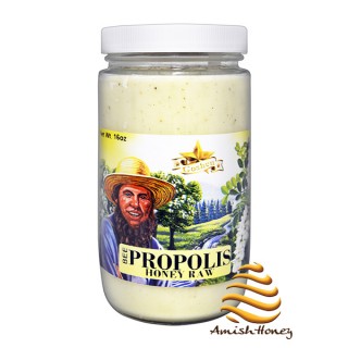 Bee Propolis Honey Raw (16 oz.)