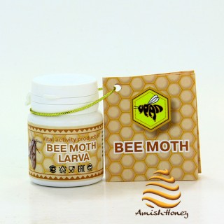 Bee Moth Larva (15 gr.)