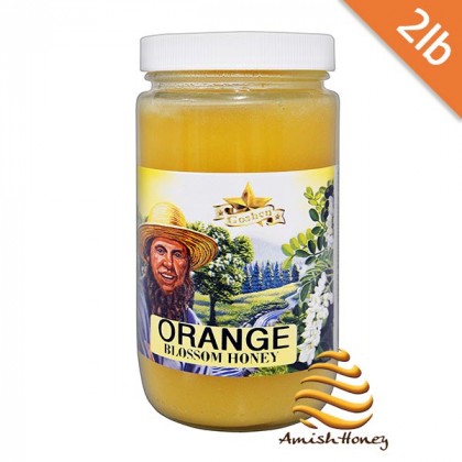 Orange Blossom Honey 2lb